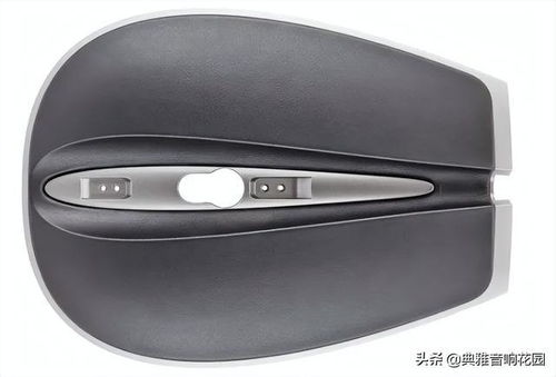 集性能 音质和美学于一体 宝华韦健 b w 804d4 落地音箱